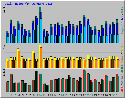 Daily usage for January 2016