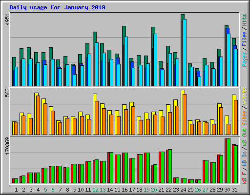 Daily usage for January 2019