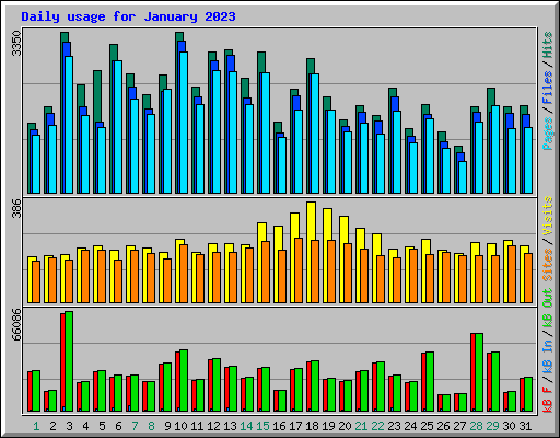 Daily usage for January 2023