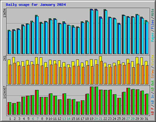 Daily usage for January 2024