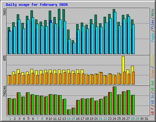 Daily usage for February 2026