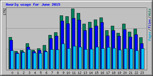 Hourly usage for June 2015