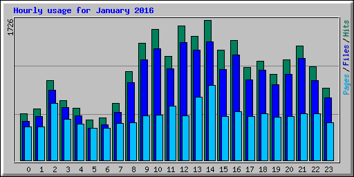 Hourly usage for January 2016