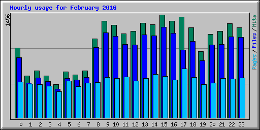 Hourly usage for February 2016