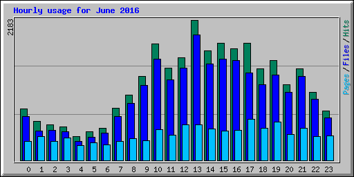 Hourly usage for June 2016