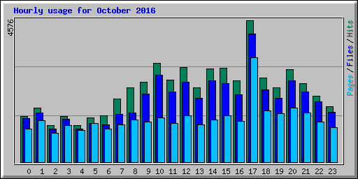 Hourly usage for October 2016