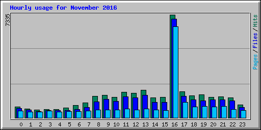 Hourly usage for November 2016
