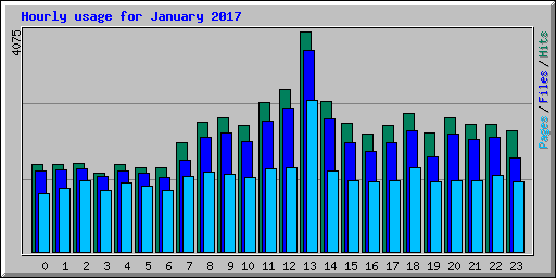 Hourly usage for January 2017