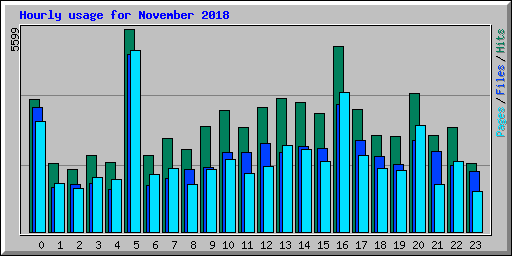 Hourly usage for November 2018