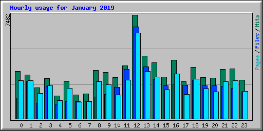Hourly usage for January 2019