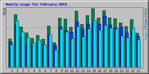 Hourly usage for February 2019