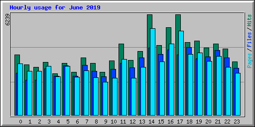 Hourly usage for June 2019