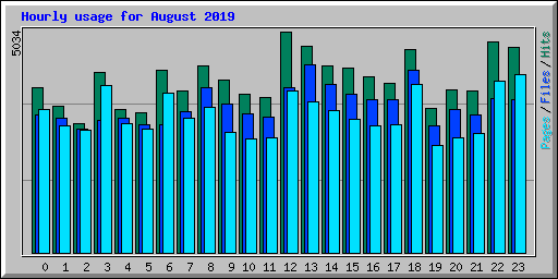 Hourly usage for August 2019