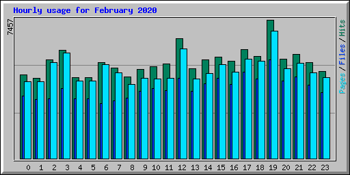 Hourly usage for February 2020