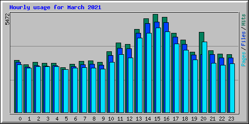 Hourly usage for March 2021