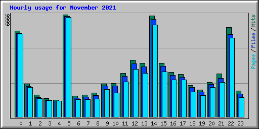 Hourly usage for November 2021