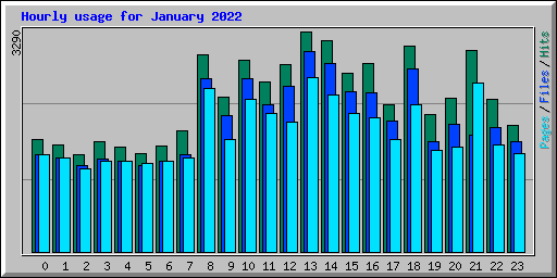 Hourly usage for January 2022