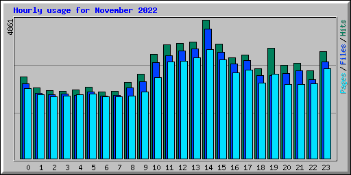 Hourly usage for November 2022
