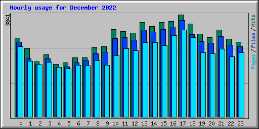 Hourly usage for December 2022