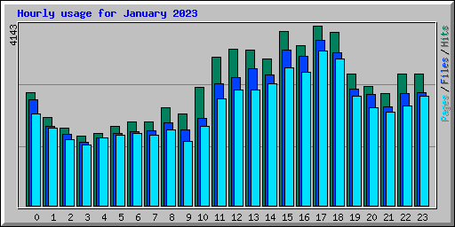Hourly usage for January 2023