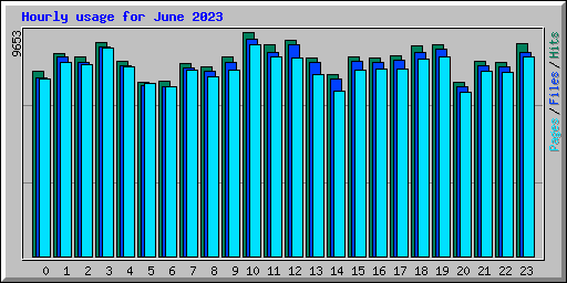 Hourly usage for June 2023