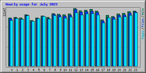 Hourly usage for July 2023