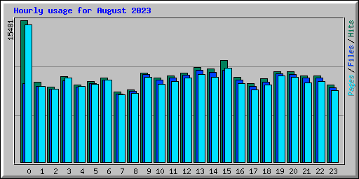 Hourly usage for August 2023