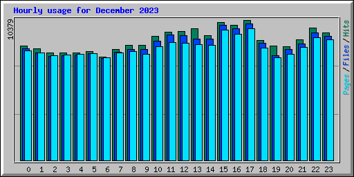 Hourly usage for December 2023
