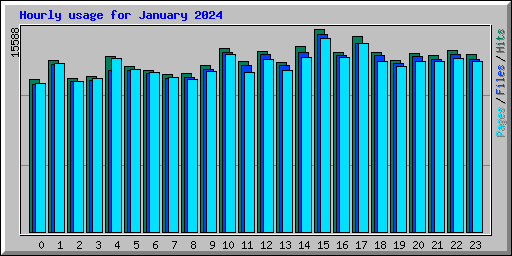 Hourly usage for January 2024