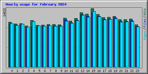 Hourly usage for February 2024