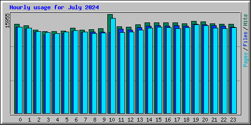 Hourly usage for July 2024