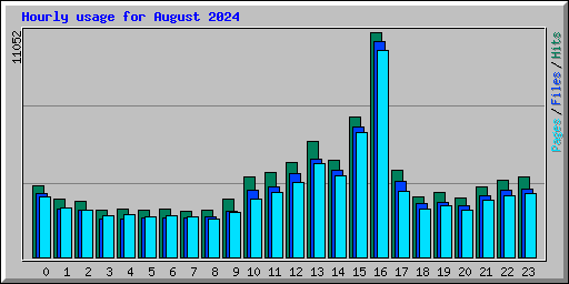 Hourly usage for August 2024