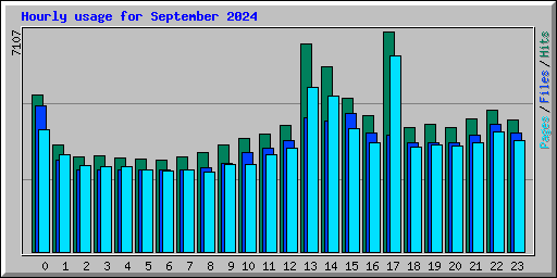 Hourly usage for September 2024