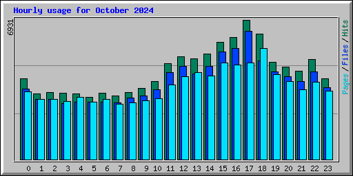 Hourly usage for October 2024