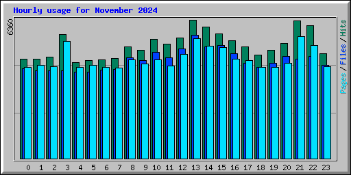 Hourly usage for November 2024