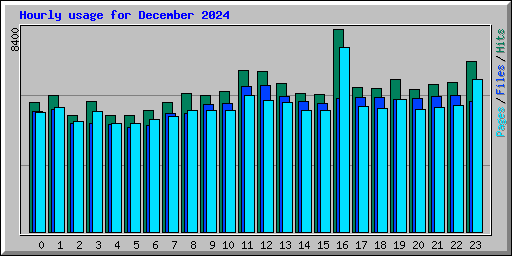 Hourly usage for December 2024