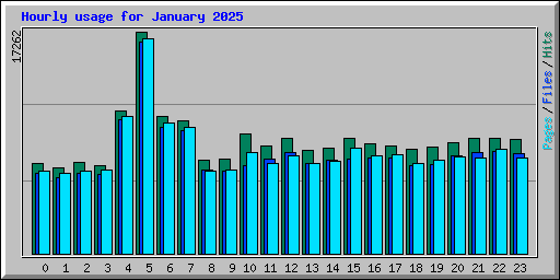 Hourly usage for January 2025