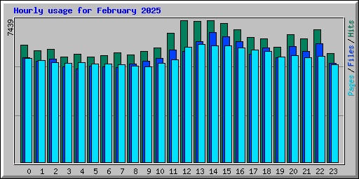 Hourly usage for February 2025