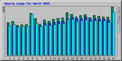 Hourly usage for March 2025