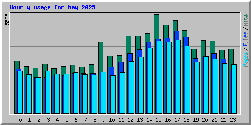 Hourly usage for May 2025