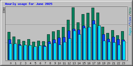 Hourly usage for June 2025