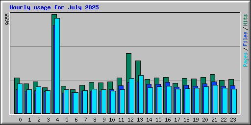 Hourly usage for July 2025