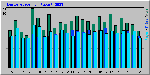 Hourly usage for August 2025