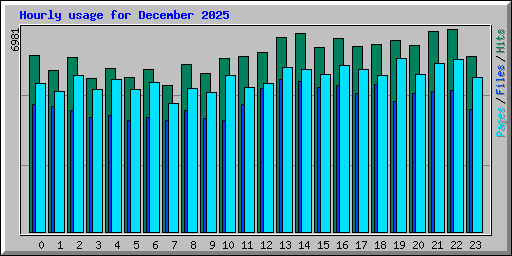 Hourly usage for December 2025