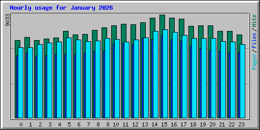 Hourly usage for January 2026
